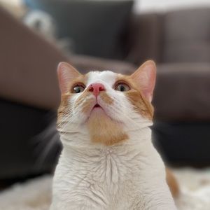 Meet your Posher, Mel